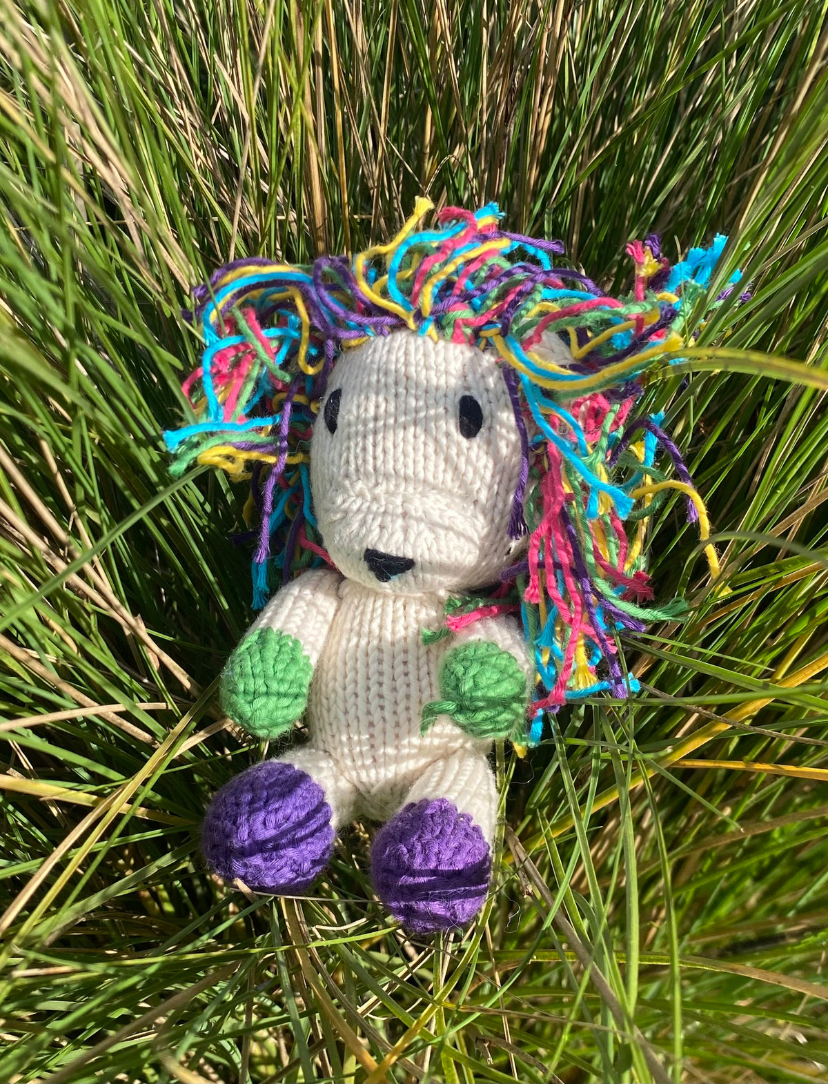 Rainbow Rascals - Safari Lion