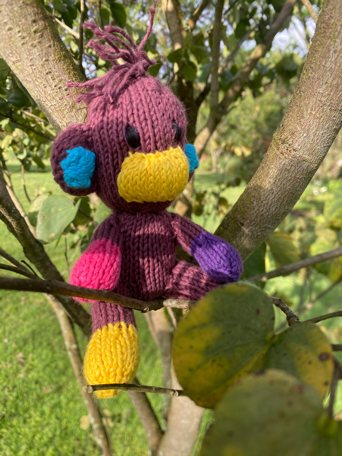 Rainbow Rascals - Safari Monkey