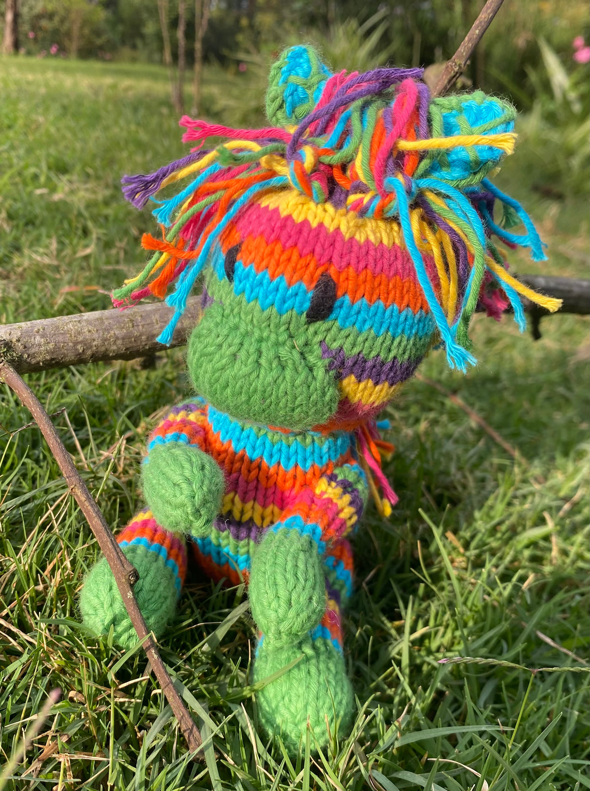Rainbow Rascals - Safari Zebra